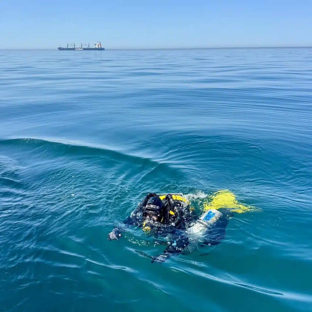 Diver on Starboard