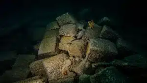 SS Skaala Coal Block - Cargo